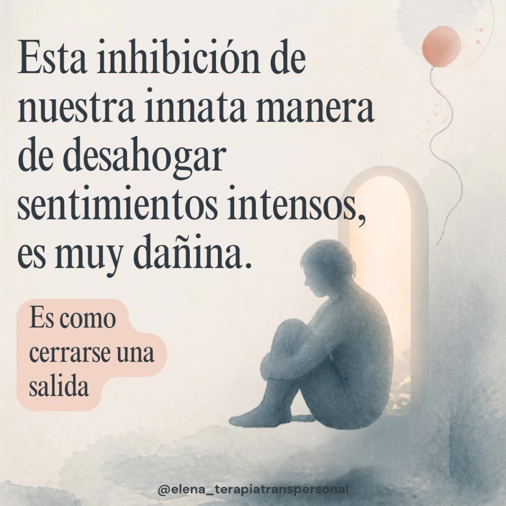 whatsapp image 2026 08 30 at 12.38.51 (2)