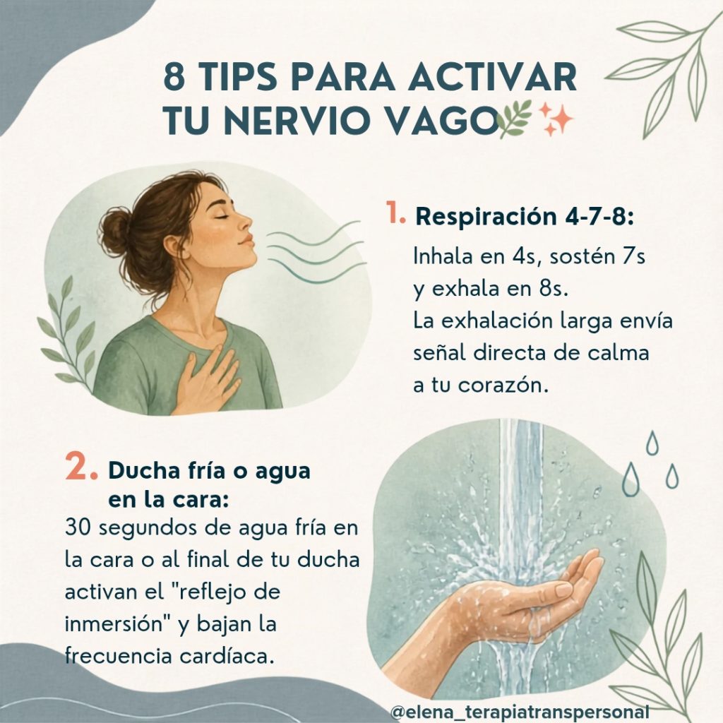 8 TIPS PARA ACTIVAR TU NERVIO VAGO y recuperar la calma 🌿✨ whatsapp image 2026 09 08 at 15.05.44 (1)