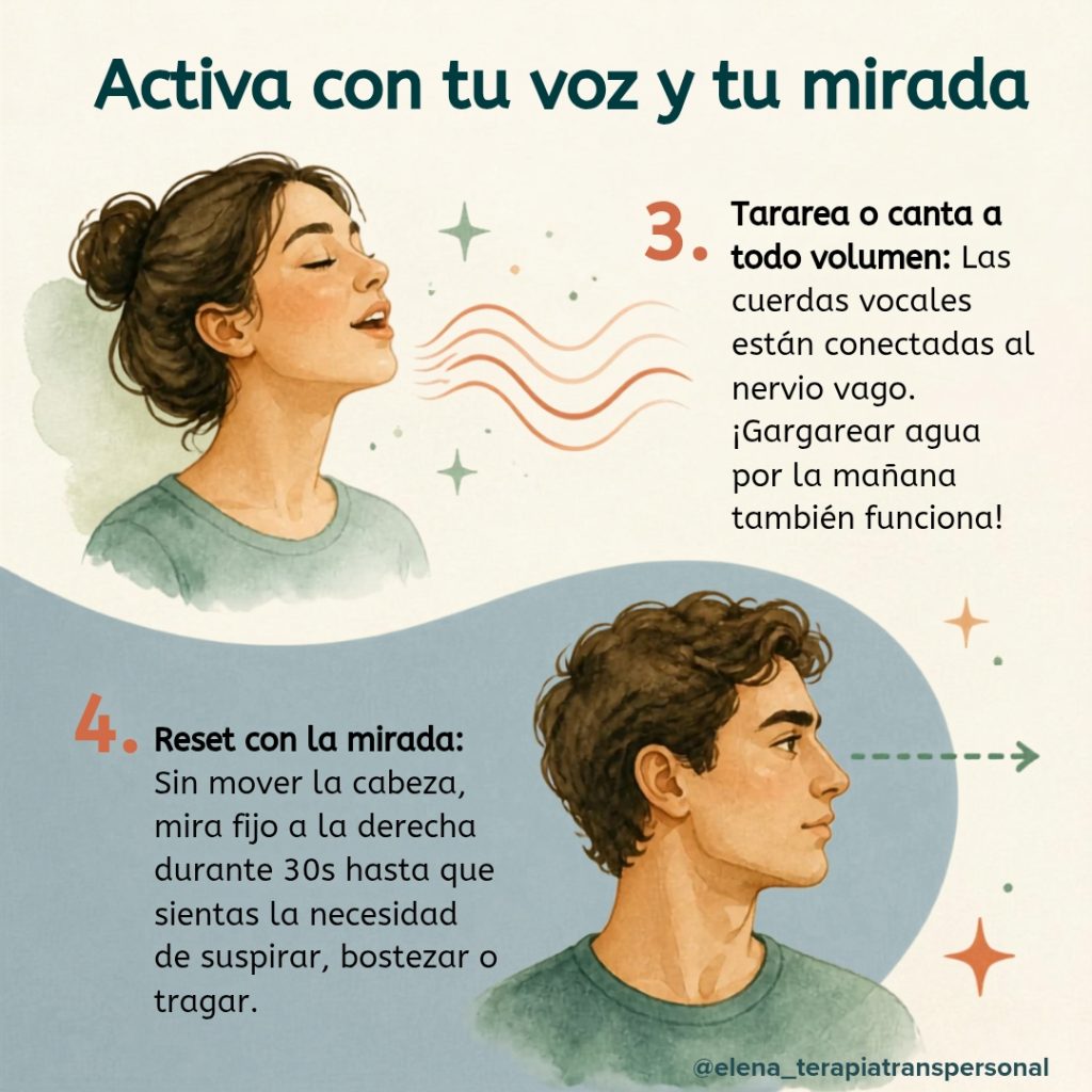 8 TIPS PARA ACTIVAR TU NERVIO VAGO y recuperar la calma 🌿✨ whatsapp image 2026 09 08 at 15.05.44 (2)