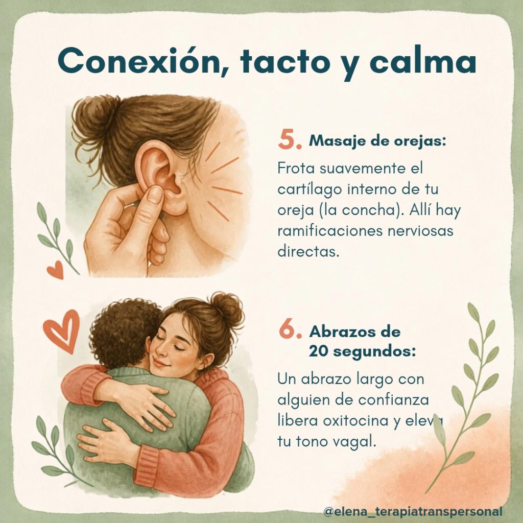 8 TIPS PARA ACTIVAR TU NERVIO VAGO y recuperar la calma 🌿✨ whatsapp image 2026 09 08 at 15.05.44 (3)