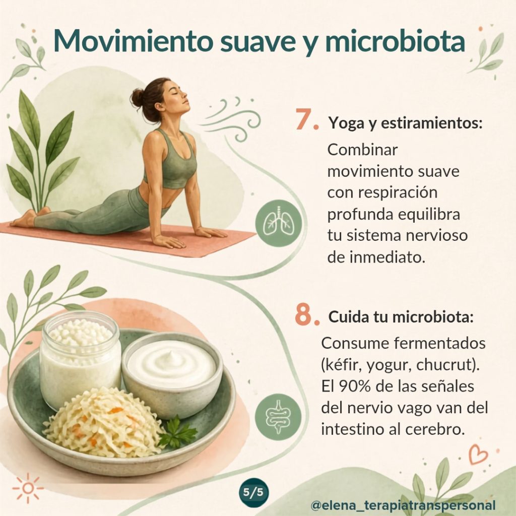8 TIPS PARA ACTIVAR TU NERVIO VAGO y recuperar la calma 🌿✨ whatsapp image 2026 09 08 at 15.05.44 (4)
