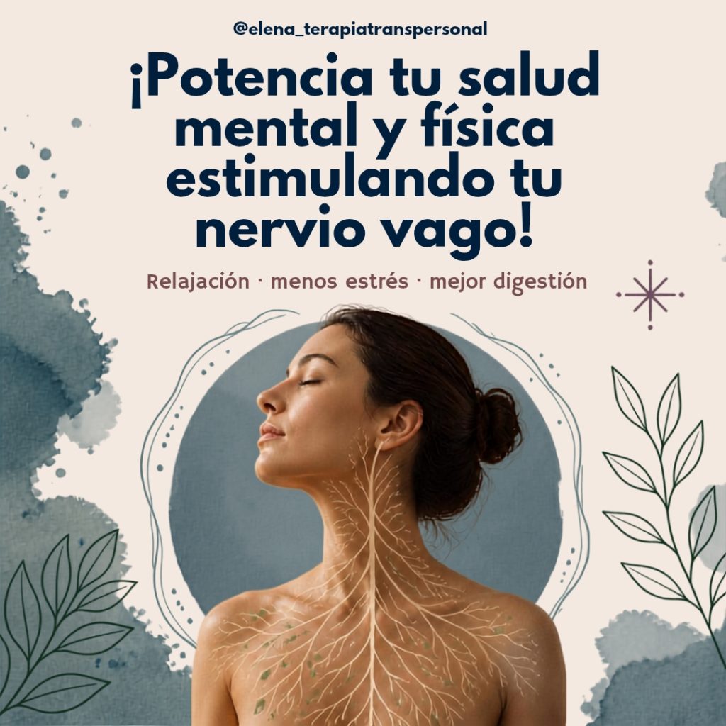 8 TIPS PARA ACTIVAR TU NERVIO VAGO y recuperar la calma 🌿✨ whatsapp image 2026 09 08 at 15.05.44